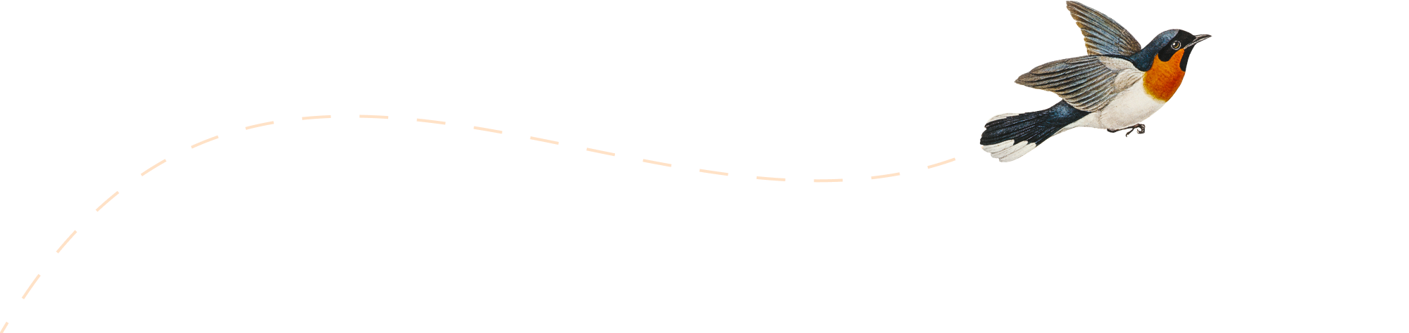 picture loss